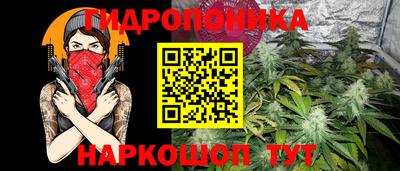 твердый Гатчина