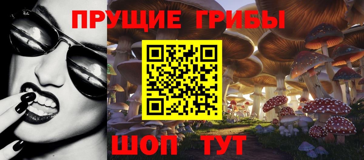 Галлюциногенные грибы Cubensis  Вход с VPN  Норильск 